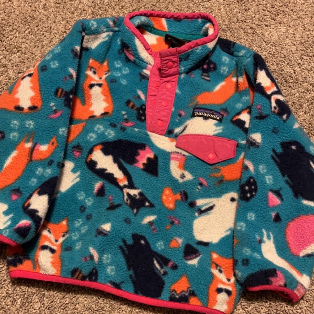 3 T Patagonia fleece pullover
